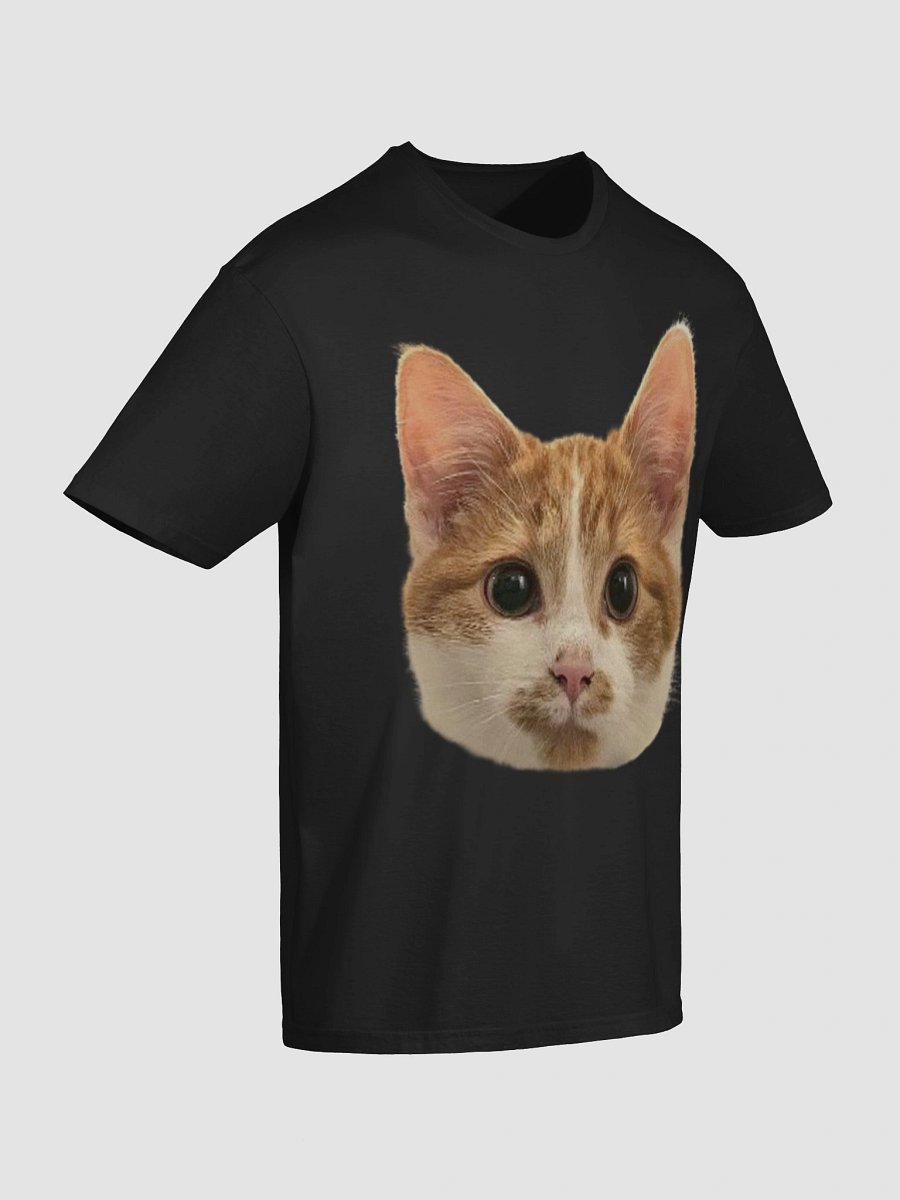Deku T-shirt product image (2)