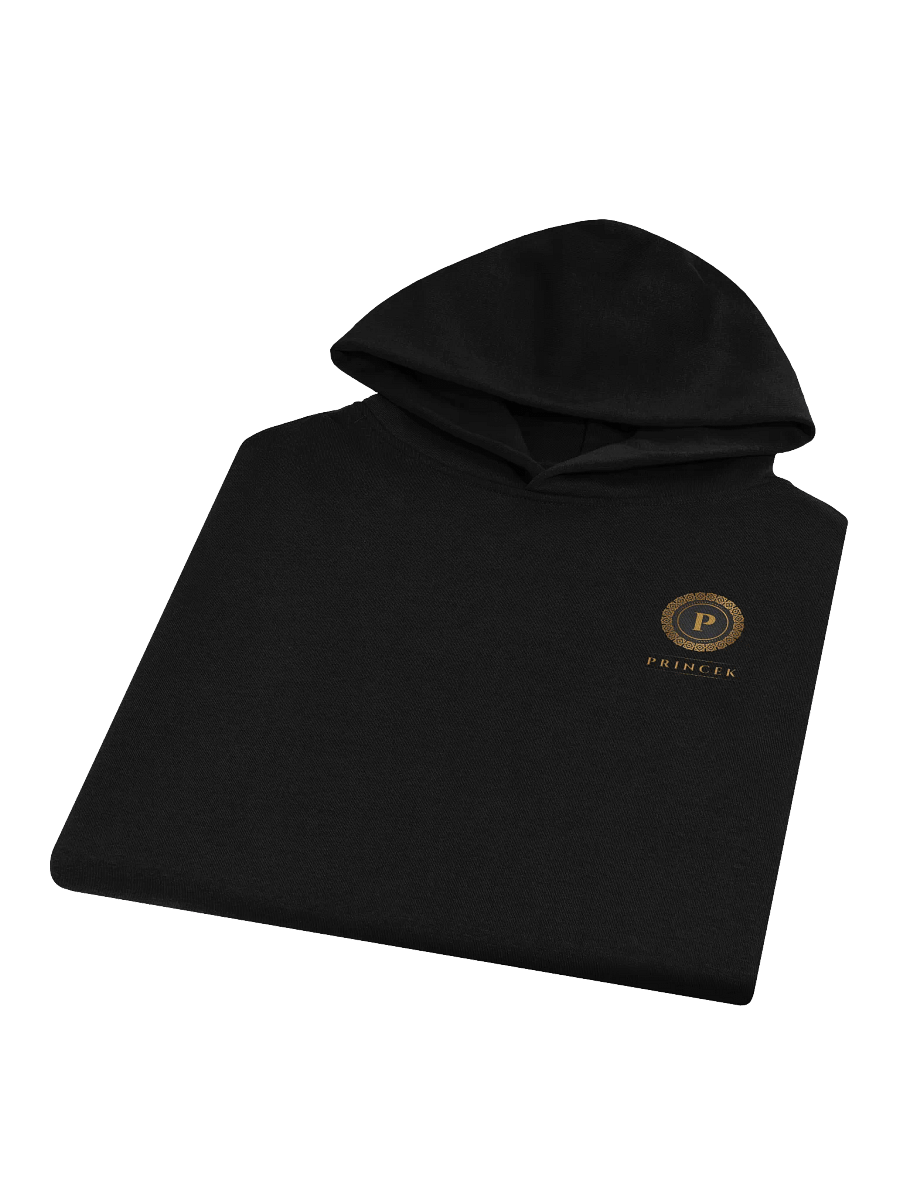 Regal Gold Logo Oversized Hoodie product image (3)