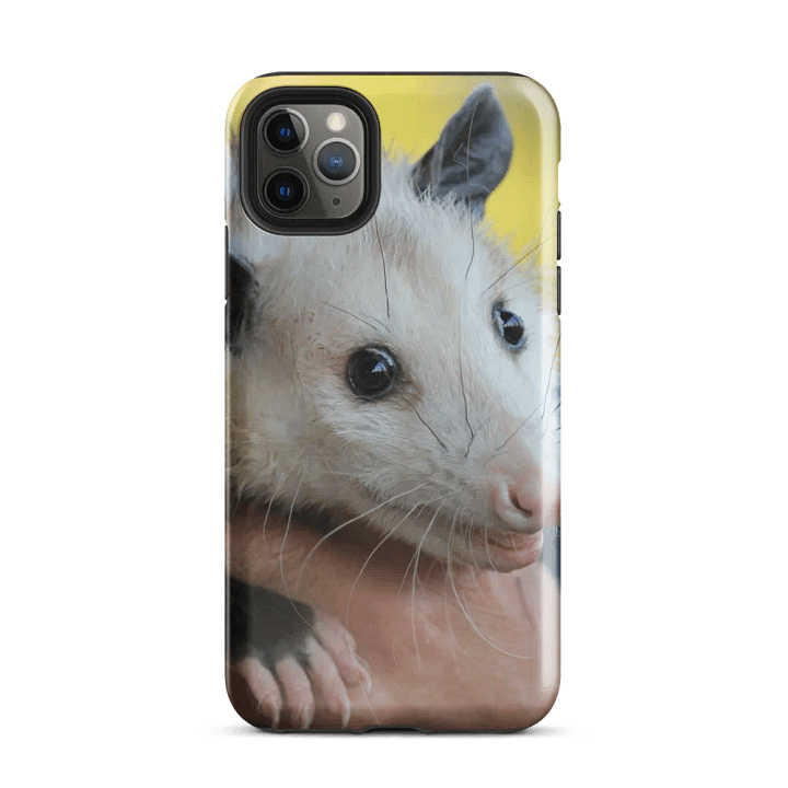 Possum and Opossum Lover's Phone Case product image (34)
