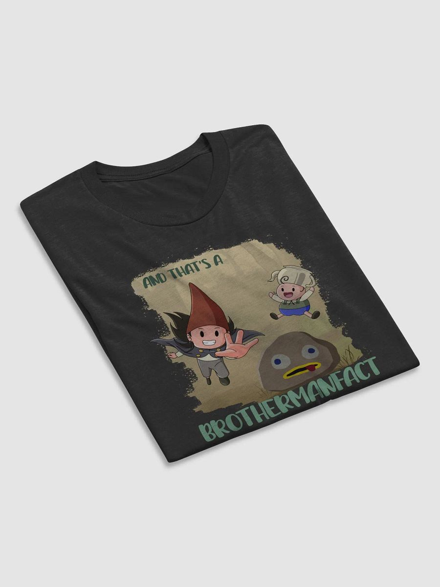 A BrotherFACT! (Triblend T-Shirt) product image (23)