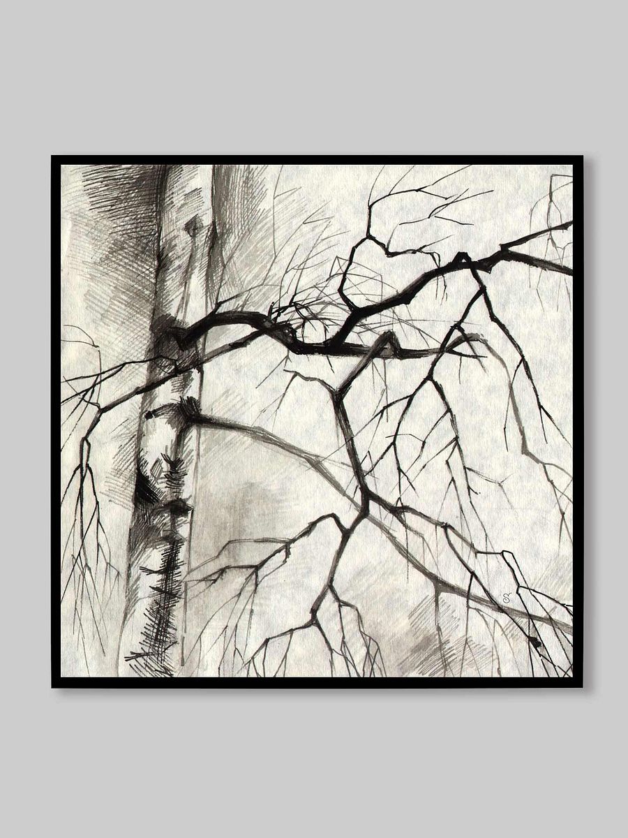 Birch Whispers Canvas - Birches product image (12)