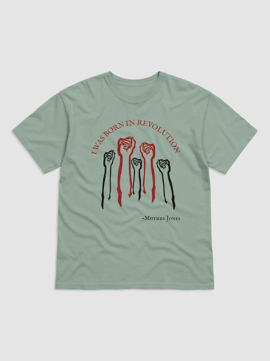 Born in Revolution Mother Jones Adult T-shirt product image (1)