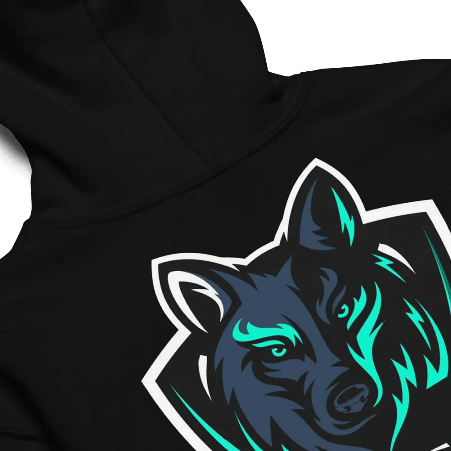 Youth Hoodie product image (3)