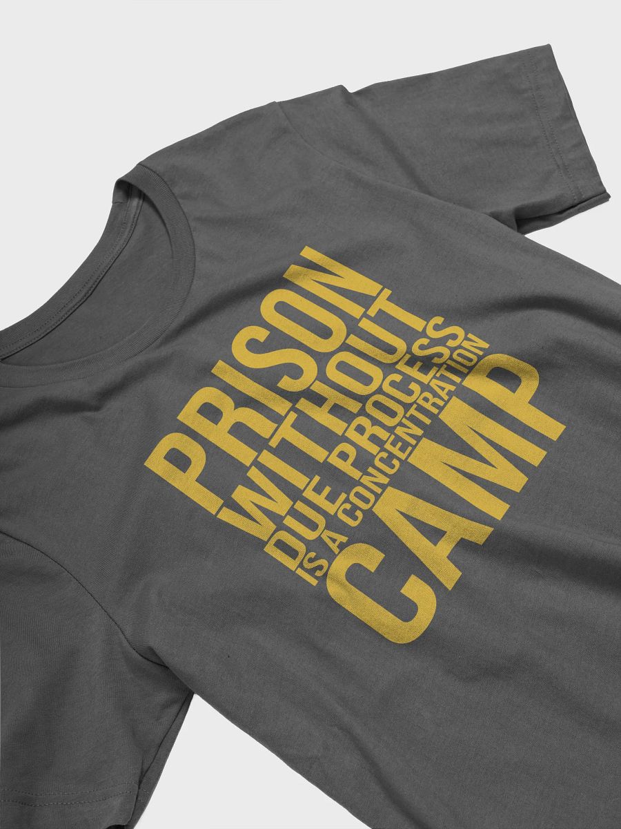Due Process Concentration Camp T-Shirt - Being Liberal product image (3)