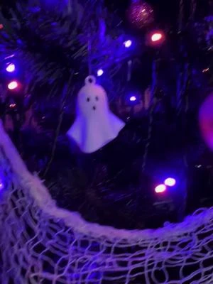 This year’s Halloween Tree is up and with a few new additions.  #spookytime #halloweentree2024 #indieauthor #halloween 