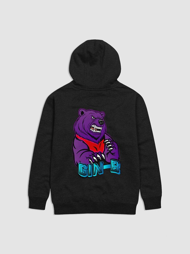 Team GIN-B | Hoodie product image (2)