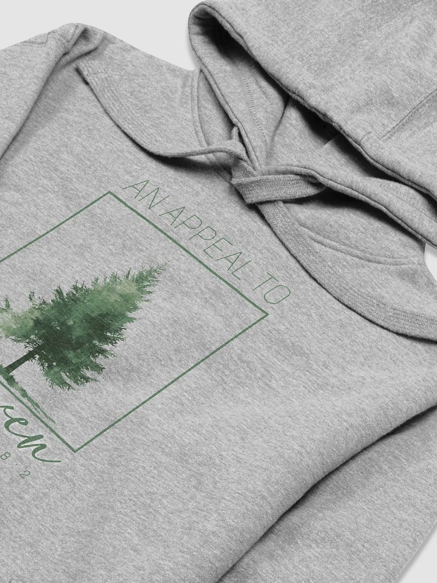 An Appeal To Heaven - Hoodie Sweatshirt product image (3)