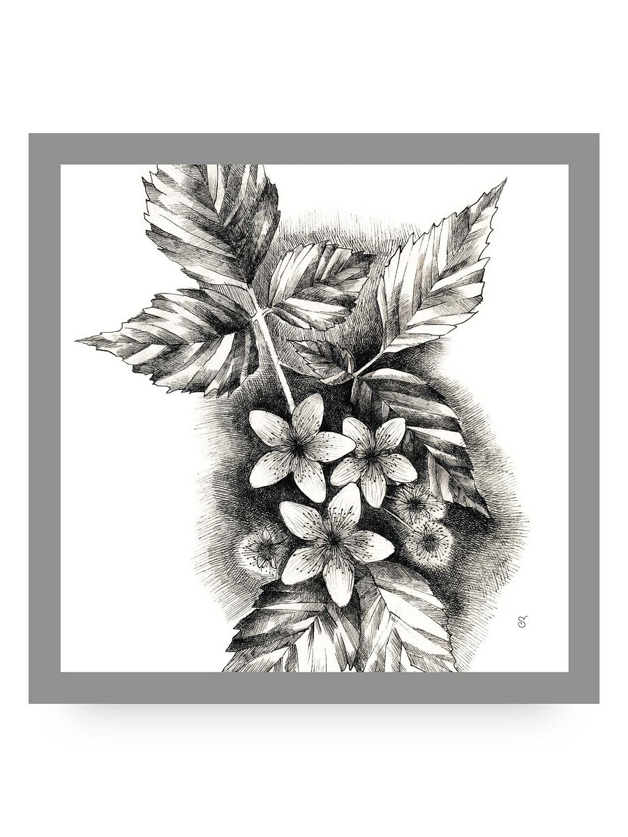 Blank Canvas Masterpieces - Jasmine product image (61)