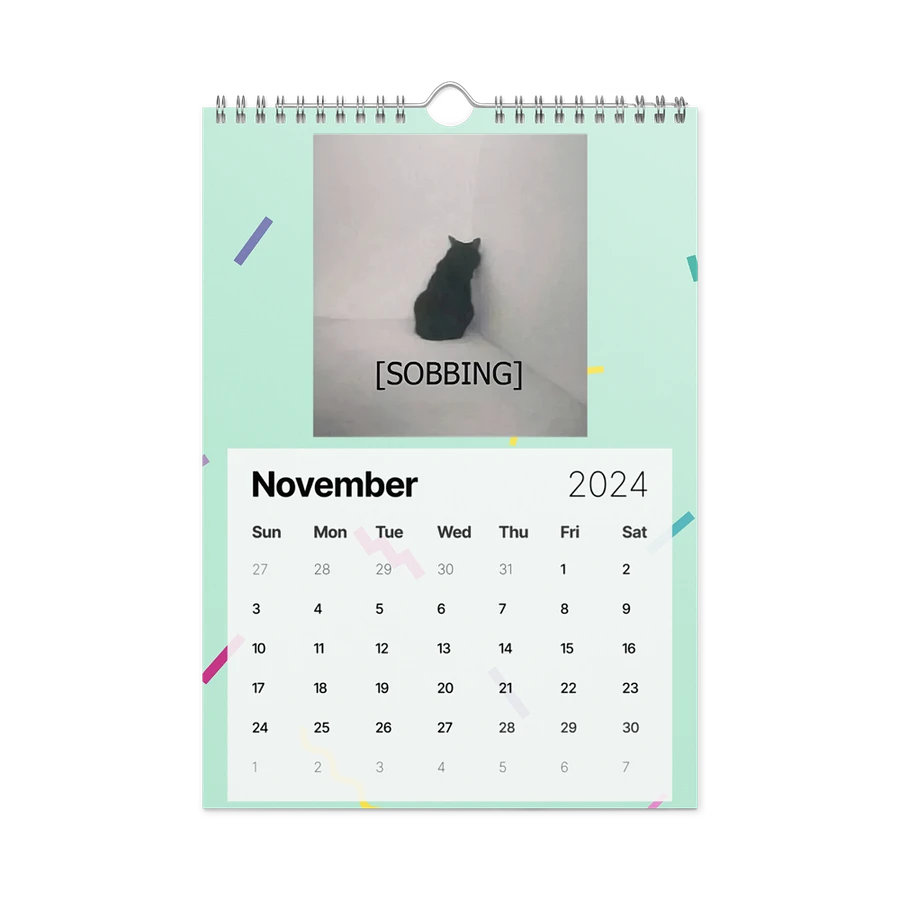 Wall Calendar (2024): Meme Cats product image (15)