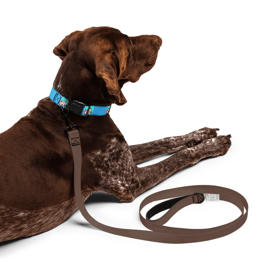 AMP-TWK Collar product image (10)