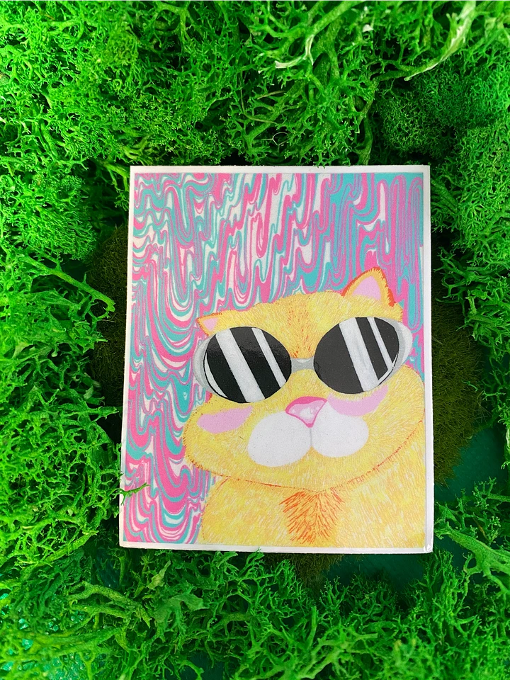 Cool Cat product image (1)
