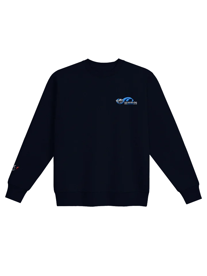 Men's Organic Sweatshirt product image (1)