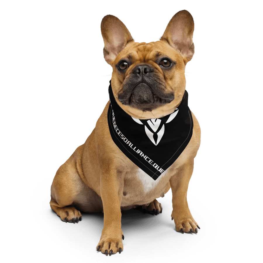 Bandana | Imprimé product image (6)