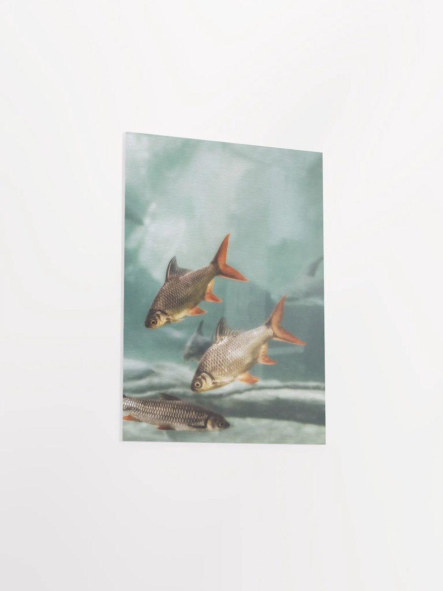Aquatic Harmony Matte Poster product image (39)