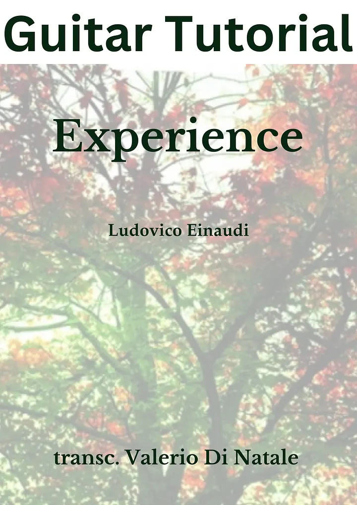 Experience by Ludovico Einaudi. product image (1)
