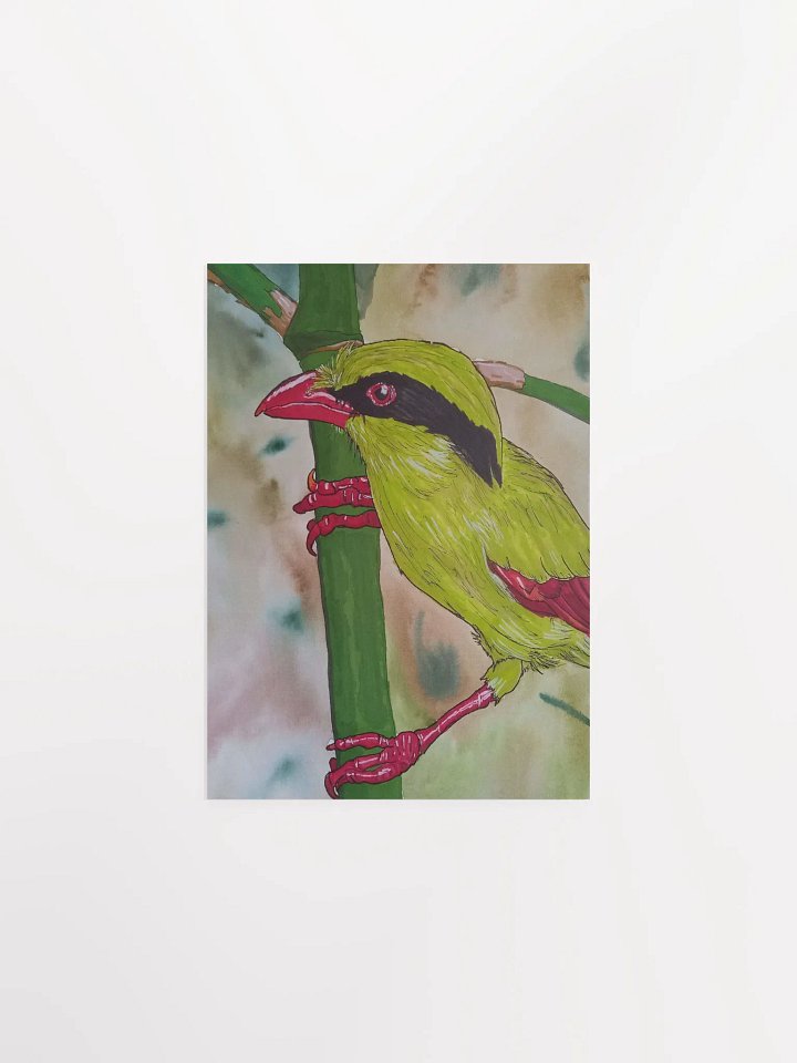 Corvid Series [02] Indochinese Green-Magpie poster print product image (1)