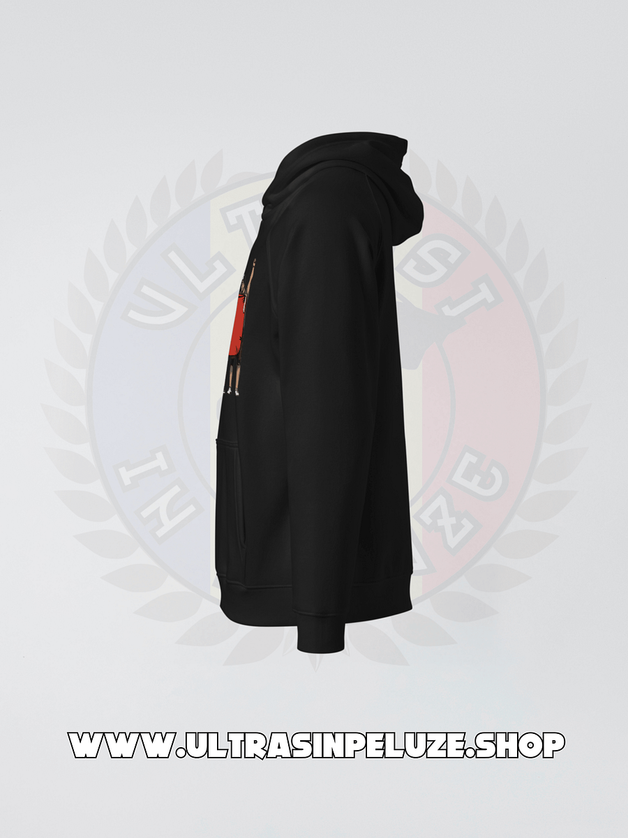 Hanorac Tricolor product image (3)