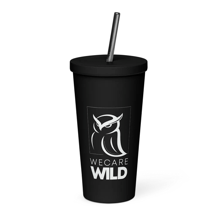 Insulated Tumbler product image (1)