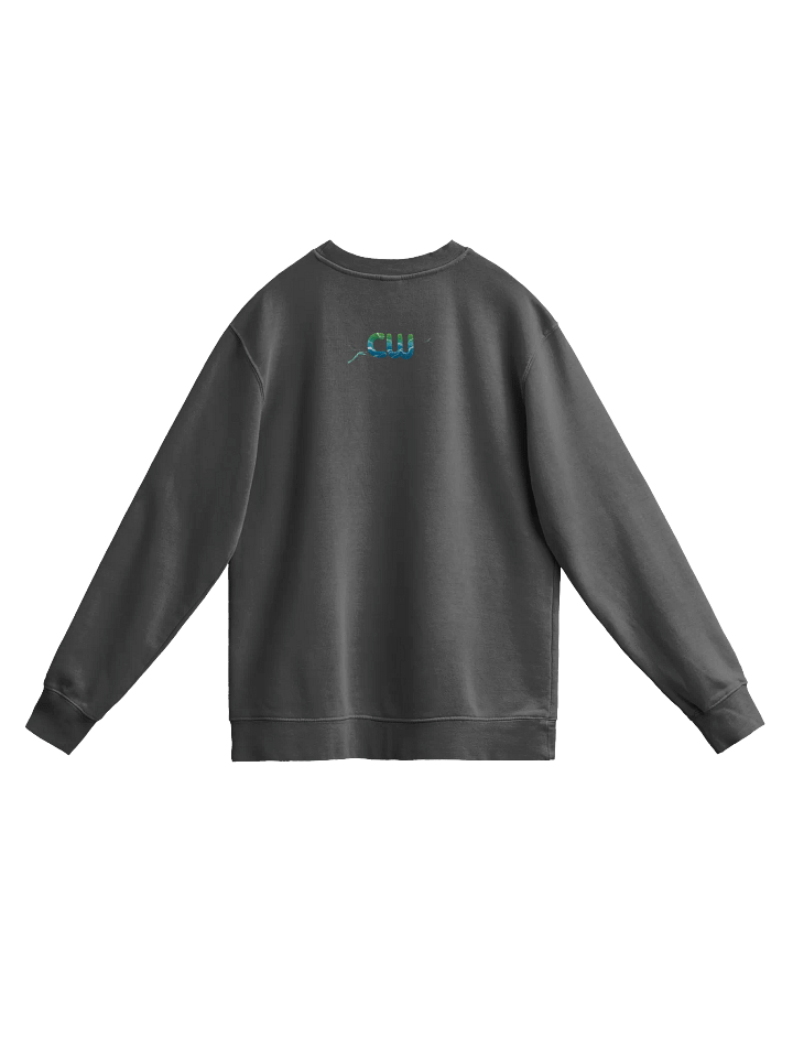 BRO Unisex Pigment Dyed Sweatshirt product image (25)