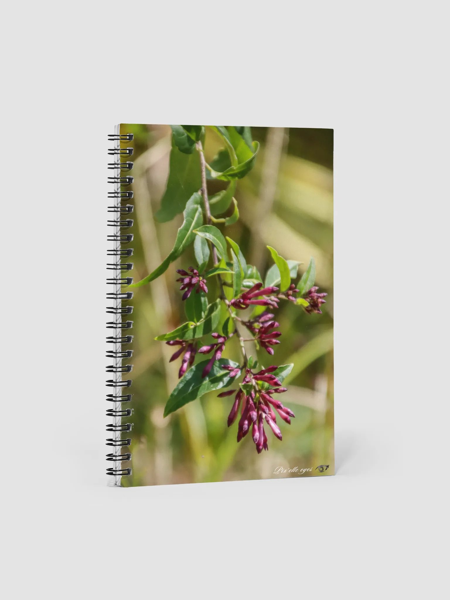 📓 Notebook Collection PURE – Jardin du Rayol – Jasmin Pourpre product image (1)