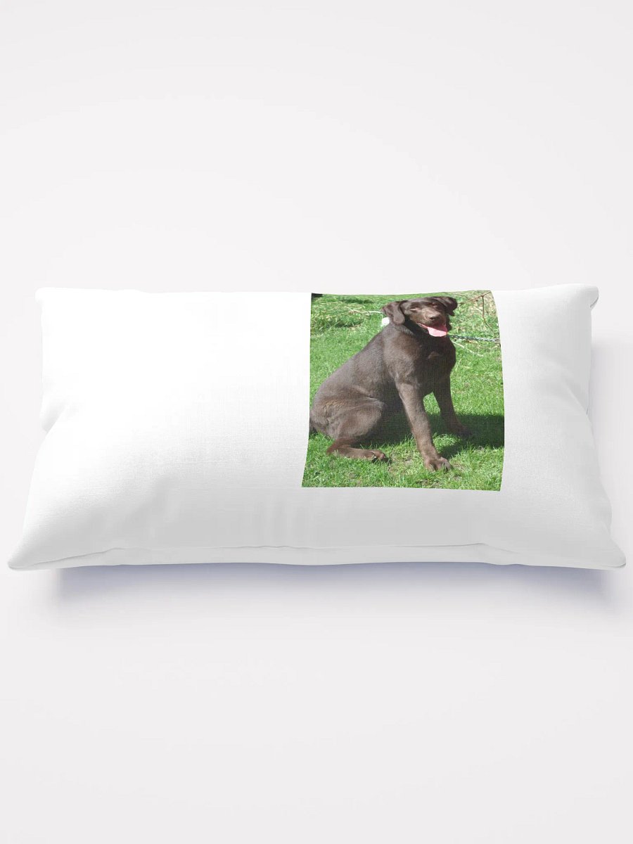 farm dog product image (2)
