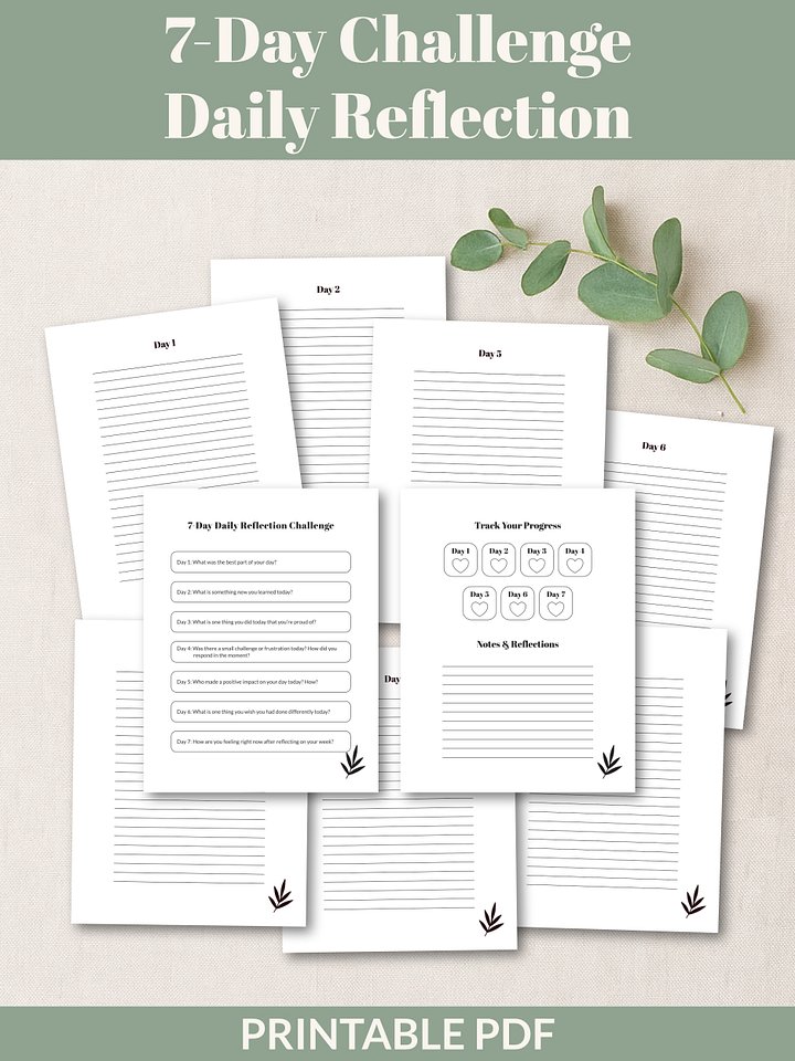 7-Day Daily Reflection Challenge Printable product image (1)