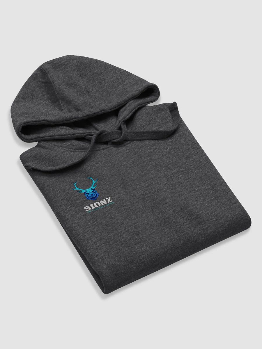 Sionz Charcoal Hoodie product image (6)