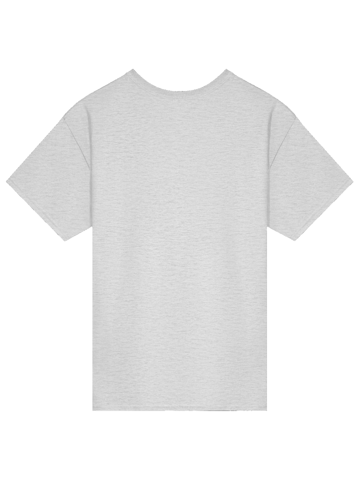 Insufferable & Salty - T Shirt product image (26)