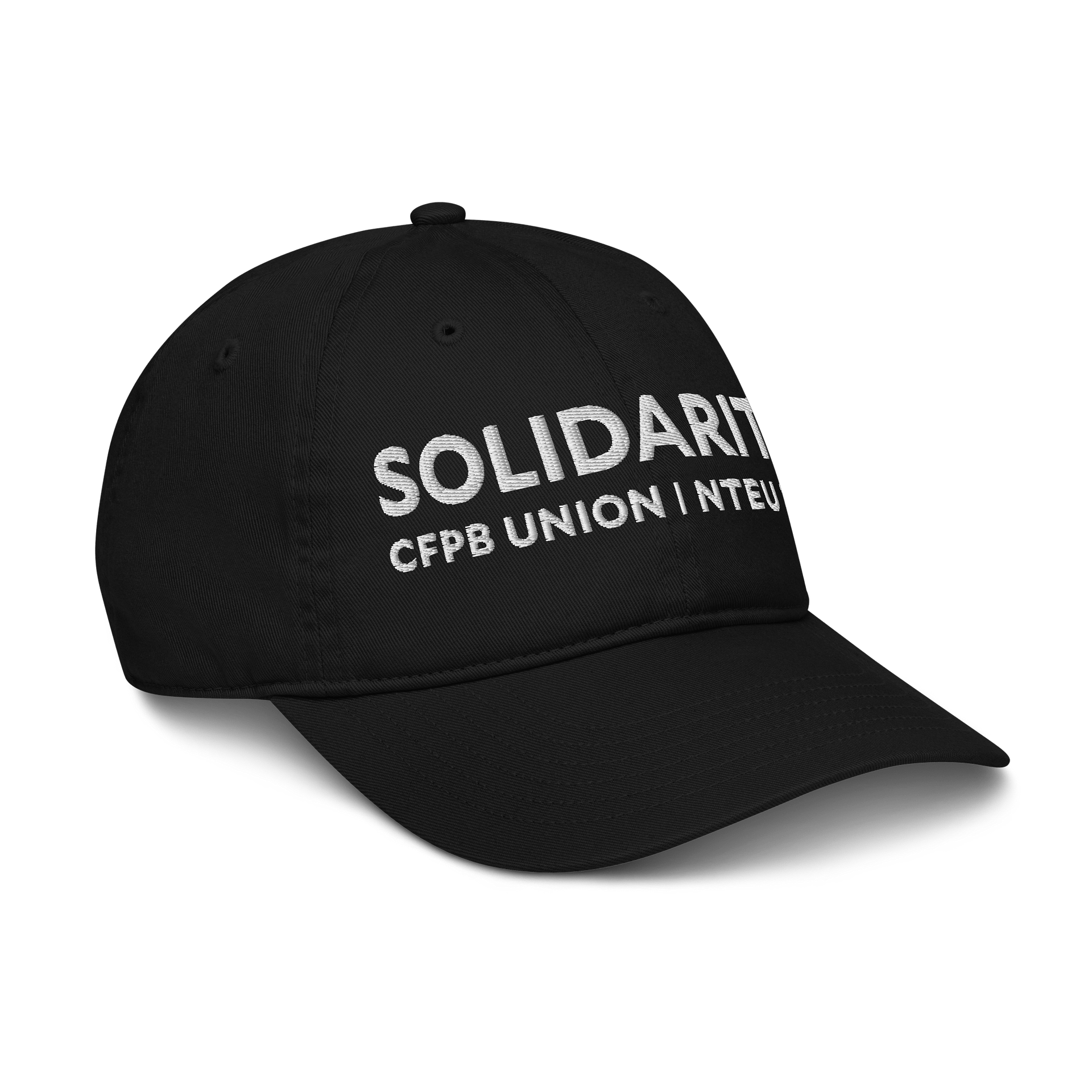 Solidarity Baseball Hat product image (6)
