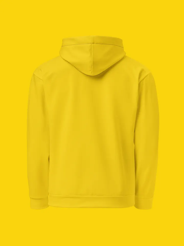 All-Over Print Recycled Unisex Hoodie | WIL Style product image (2)