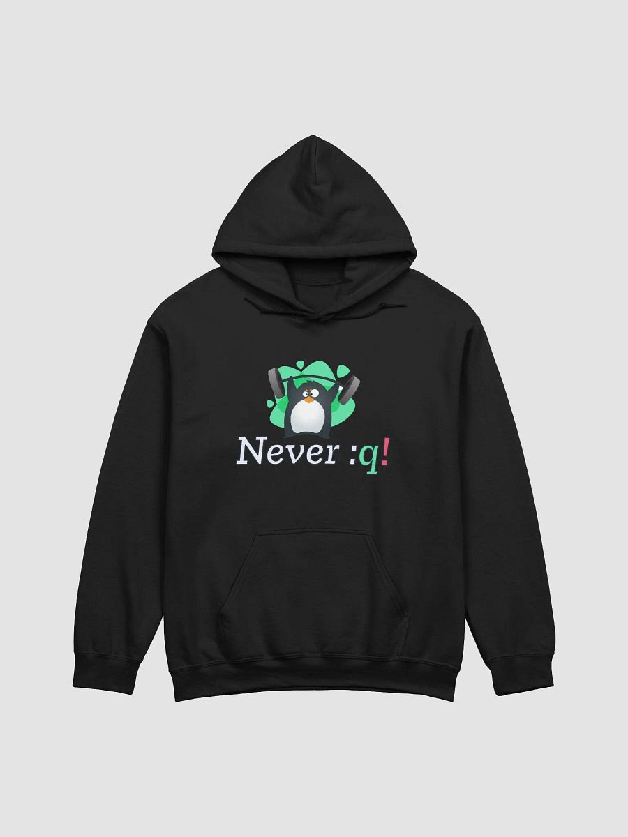 Never Quit Hoodie product image (1)