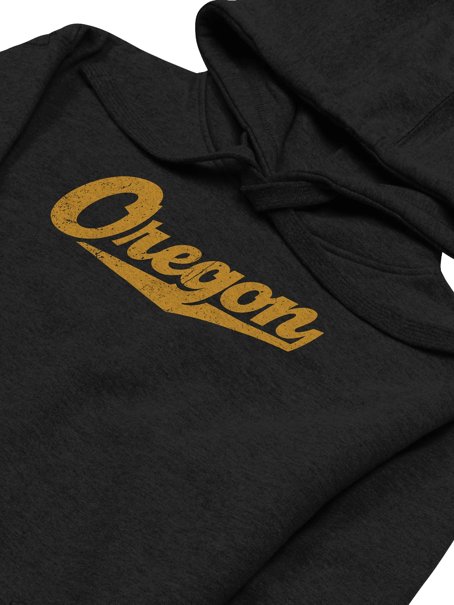 Oregon with Swash Hoodie product image (2)