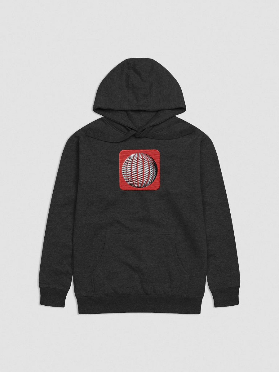 Embroidered Hoodie product image (5)