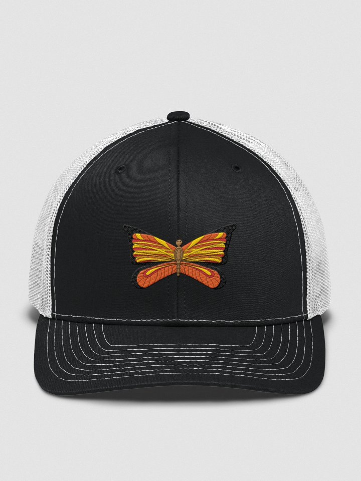 Symmetrical Wings Snapback product image (55)