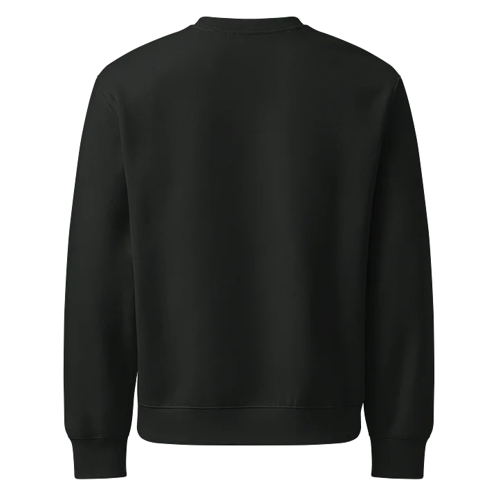 Abnl-Fela Oversized Sweatshirt product image (2)