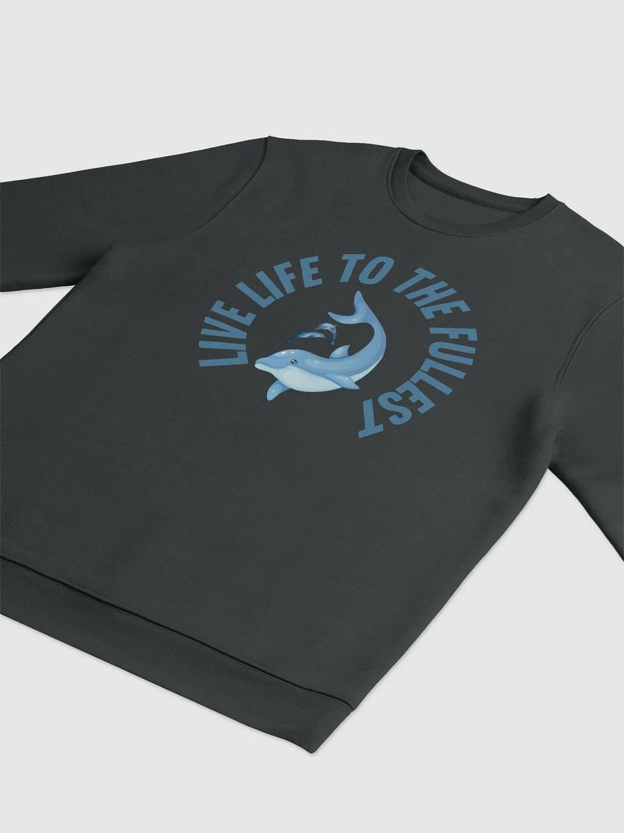 Vibrant Dolphin Jump Unisex Sweatshirt product image (3)