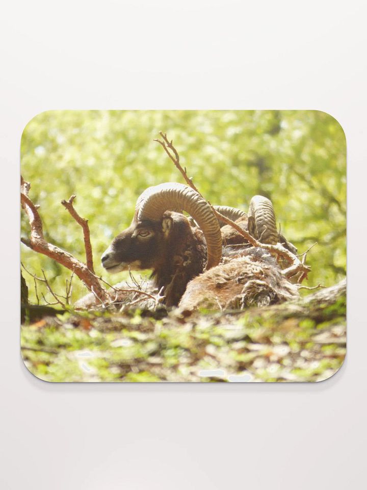 Classic Mouse Pad - The European mouflon product image (2)