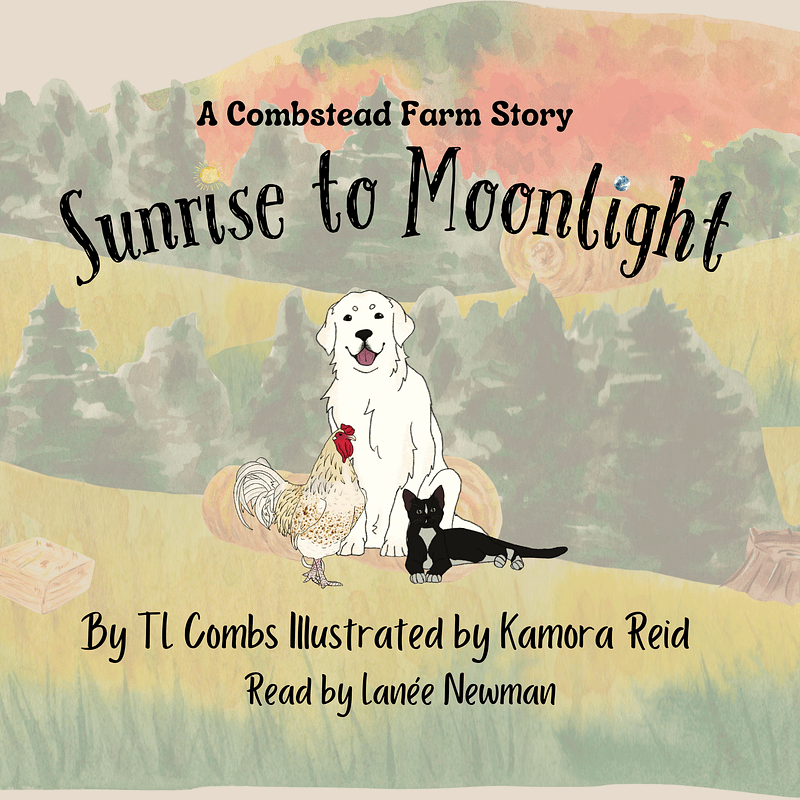 Sunrise to Moonlight Audiobook