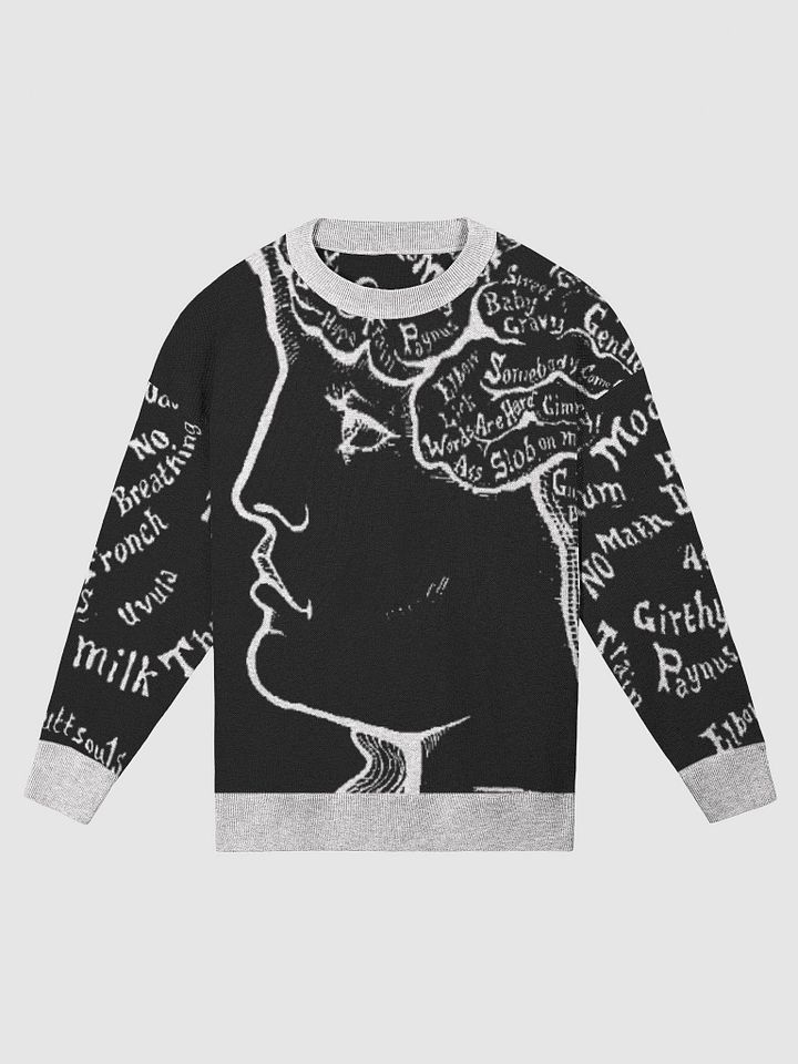 On the Brain OG Sweater (Relaxed Fit) product image (2)