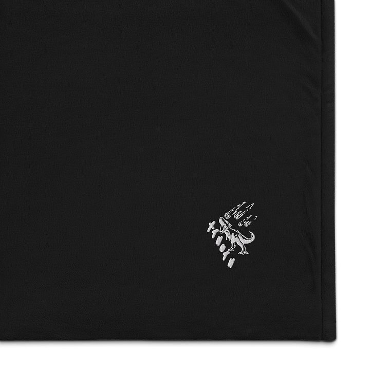 its a blanket. Sherpa blanket. product image (1)