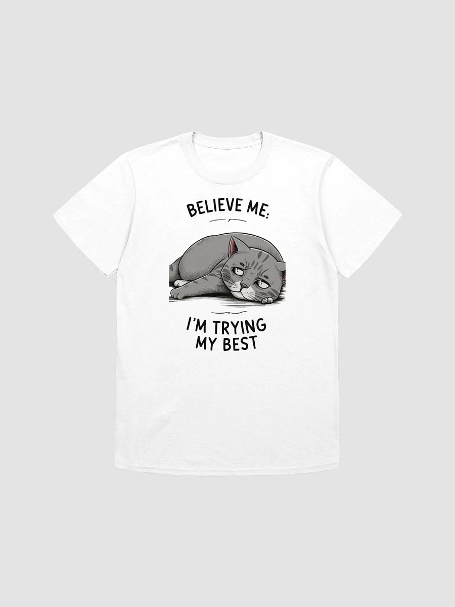 Believe Me, I Am Trying My Best product image (1)