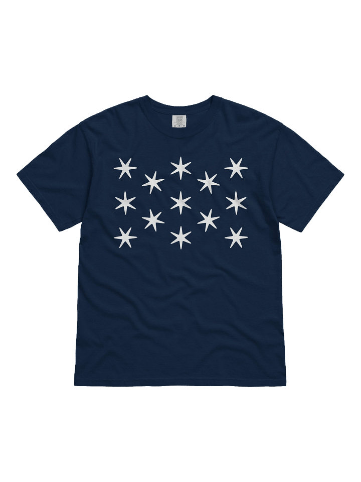 Washington Standard T-shirt product image (1)