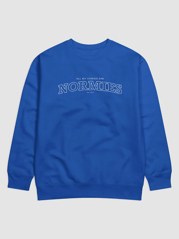 All of My Homies are Normies - Sweatshirt product image (1)