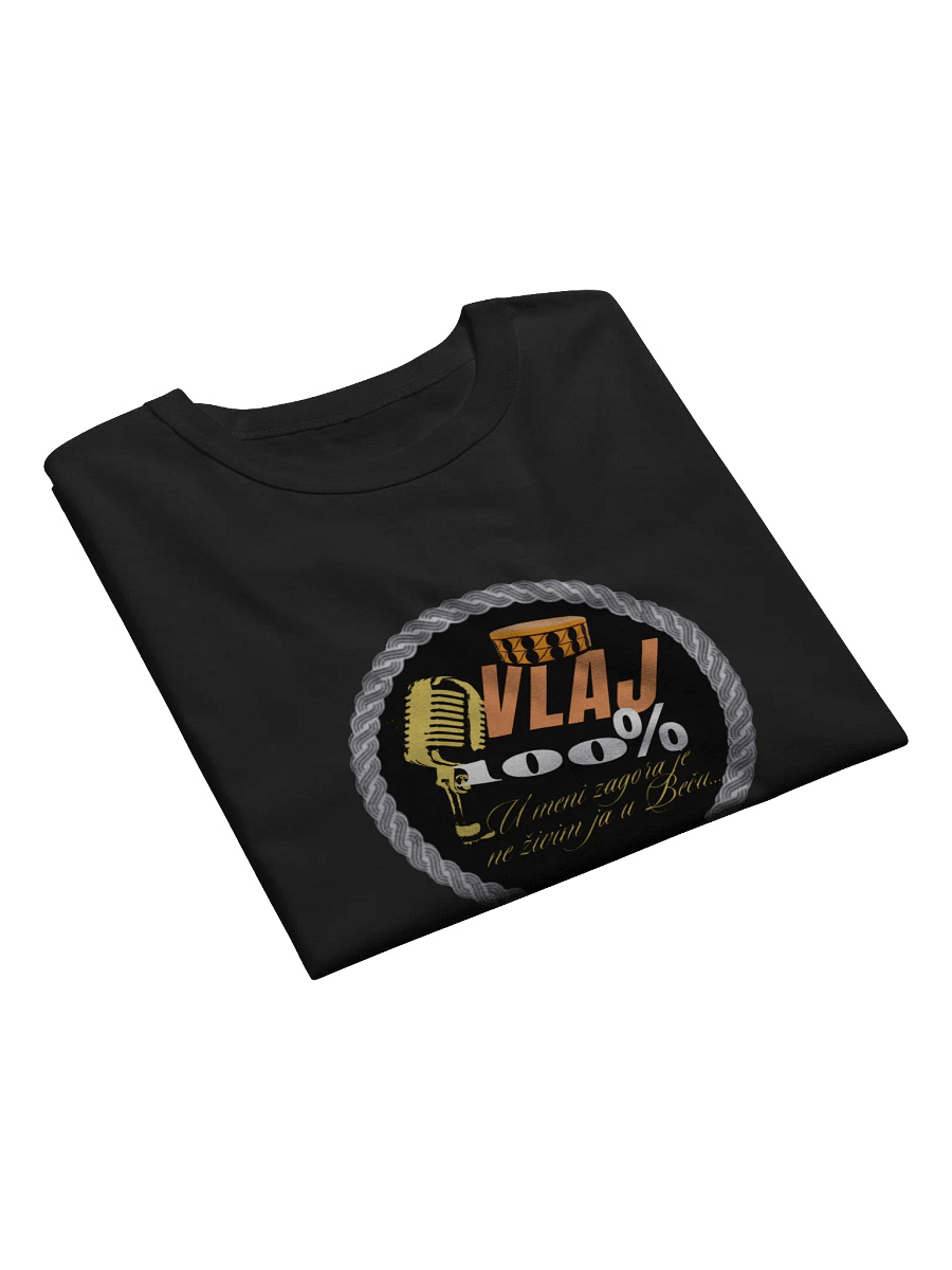 Vlaj 100% Champion T-Shirt product image (32)