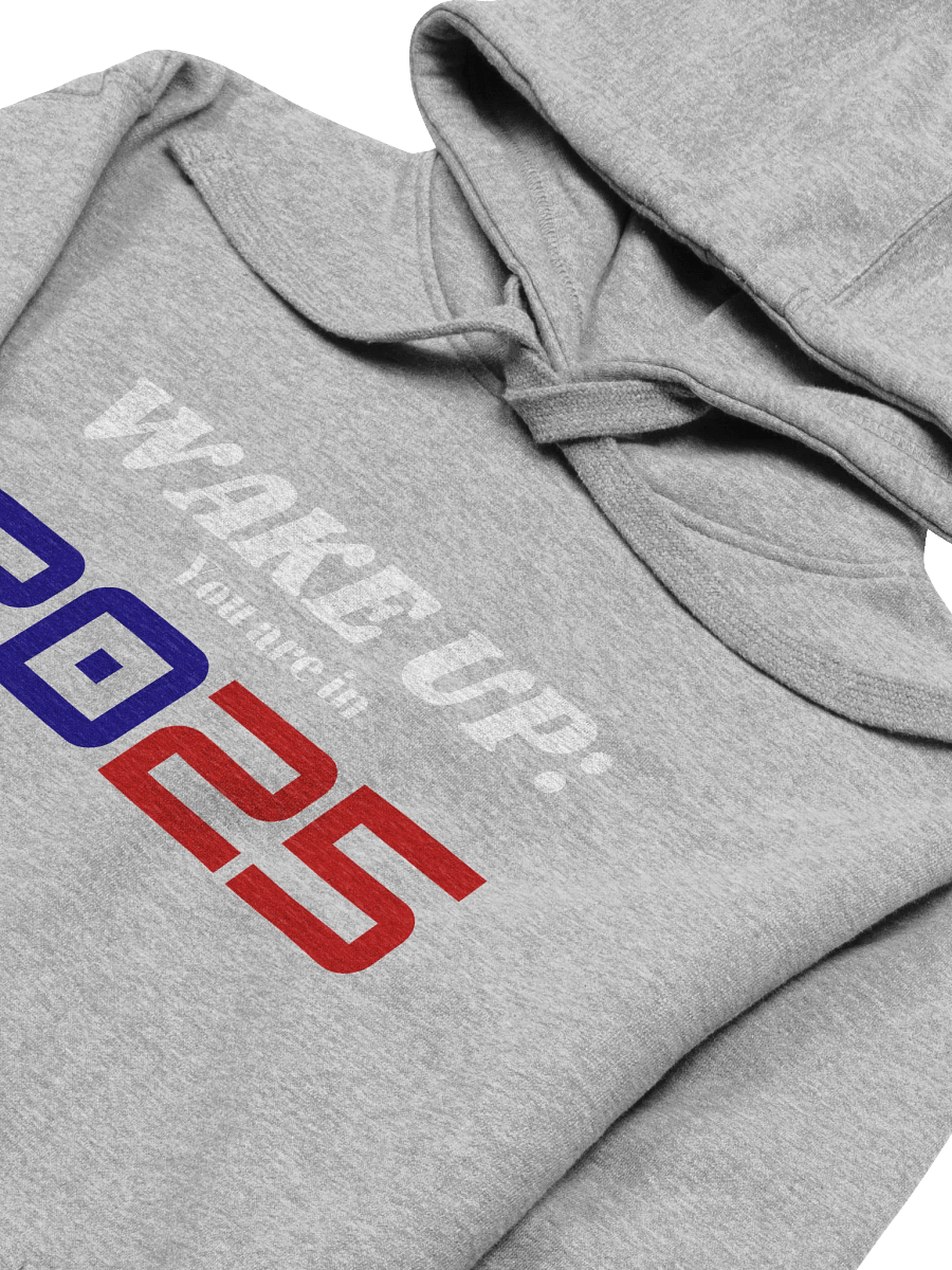 Wake up: You Are In 2025 Unisex Premium Hoodie product image (31)