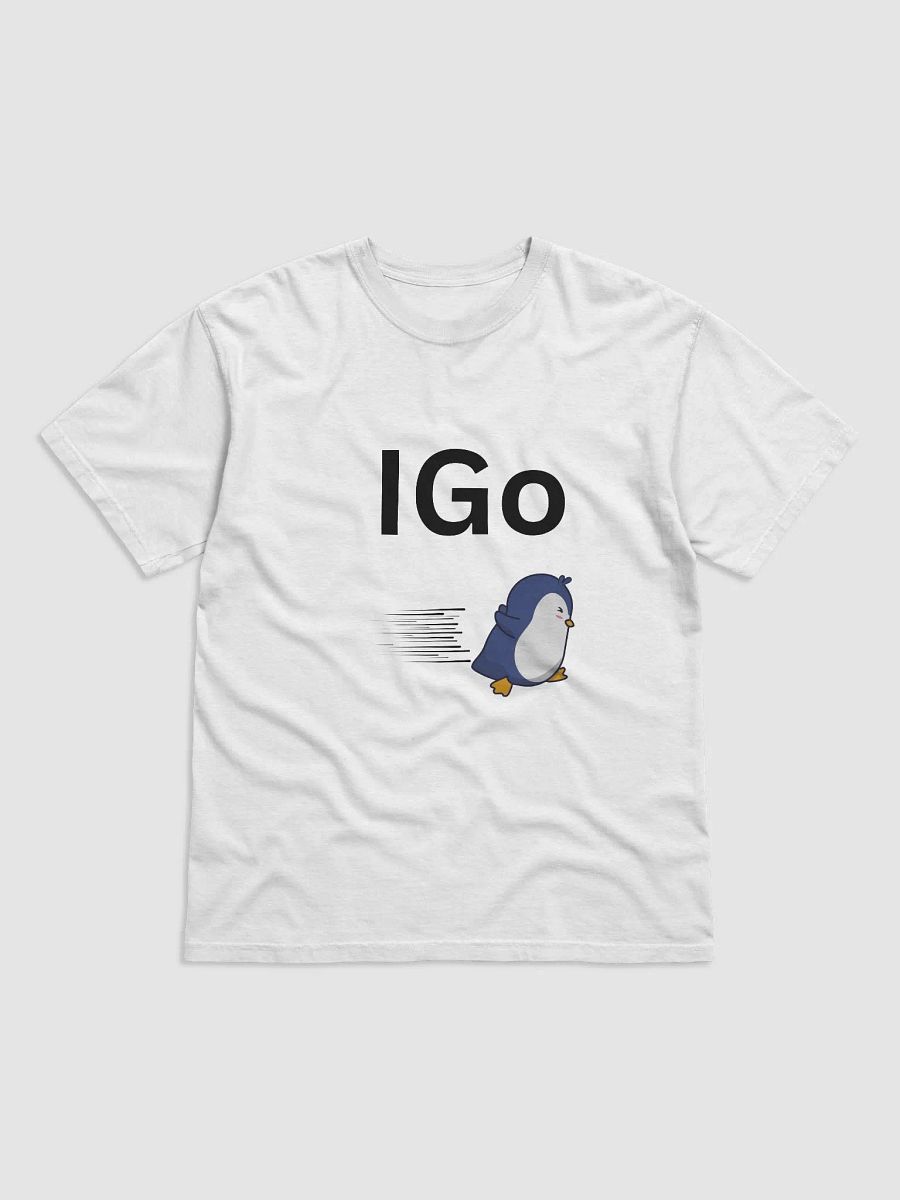 IGo product image (1)
