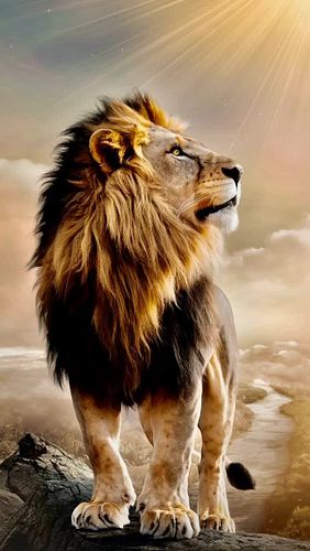 ✨👑✨

#ReignLikeKings 🔥⚔️ 🙌🏾

👑Follow @triumfulwarrior 
⚔️Follow @triumfulwarrior 
🏛Follow @triumfulwarrior

https://www.insta...