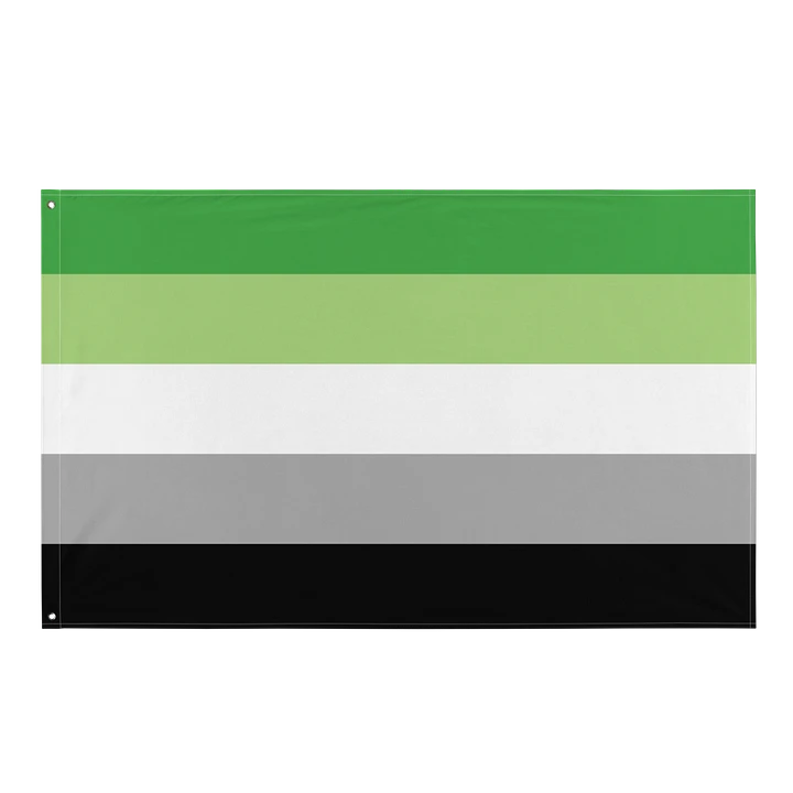 Aromantic Pride Flag product image (1)