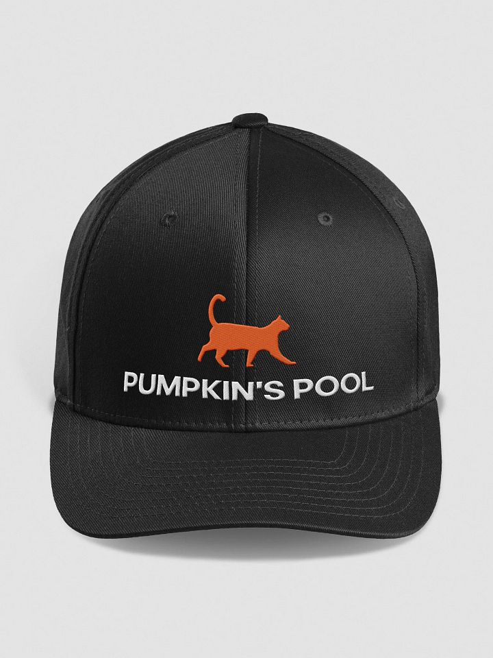 Pumpkin's Fitted Hat product image (1)