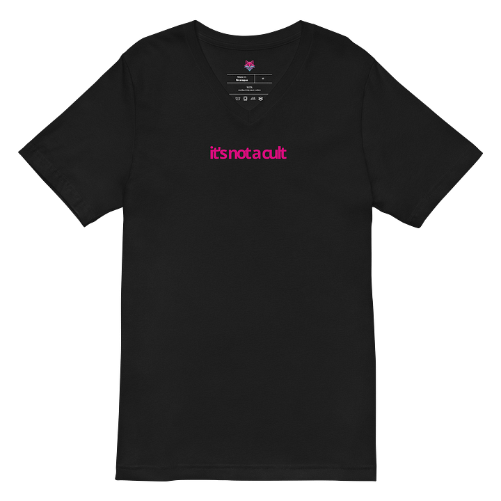 "It's Not a Cult" V-Neck Tee product image (2)